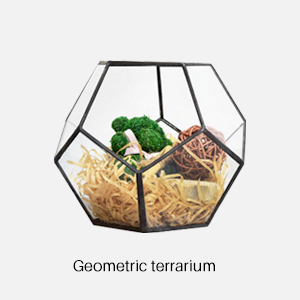 Geometric terrariu